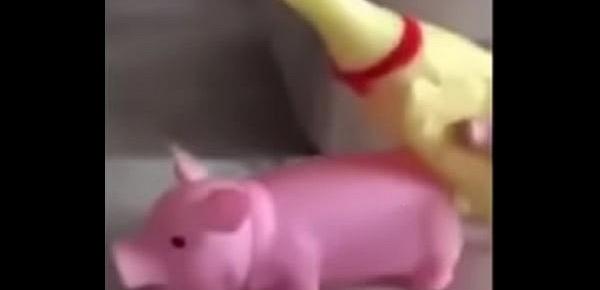  A Peppa Pig CAIU NA NET ! Whatsapp Videos Engraçados 2015